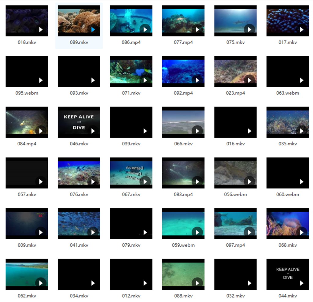 抖音素材-海底风景视频素材 视频素材 第1张