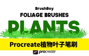 20款植物叶子Procreate笔刷素材