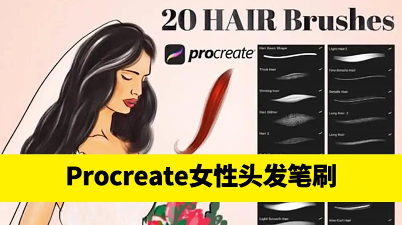 20个逼真的女性头发Procreate笔刷 笔刷资源 第1张