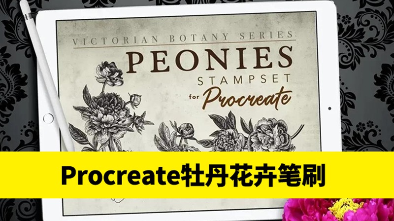 复古牡丹花卉Procreate印章笔刷套装 笔刷资源 第1张