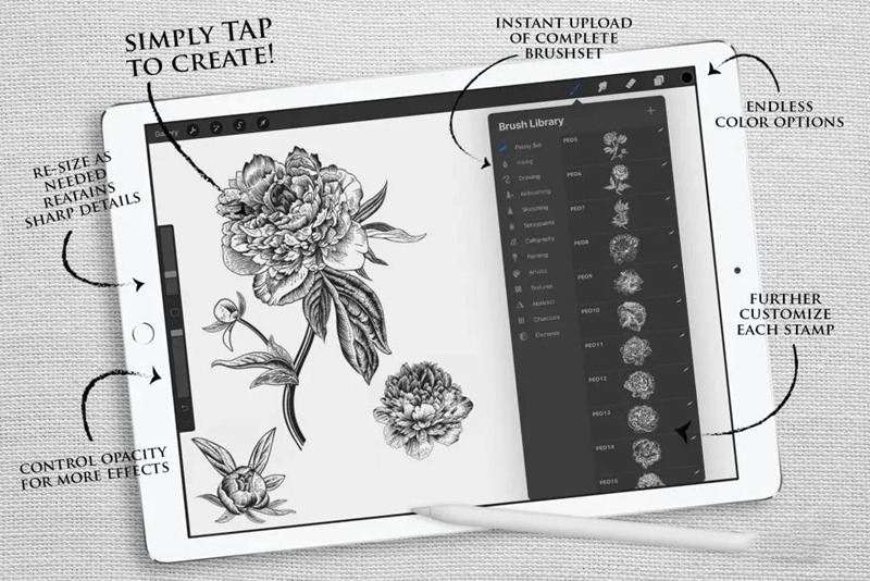 复古牡丹花卉Procreate印章笔刷套装 笔刷资源 第4张