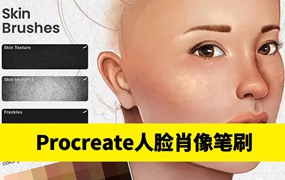 人脸肖像制作Procreate笔刷套装