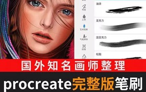 2500款知名画师整理procreate完整版笔刷