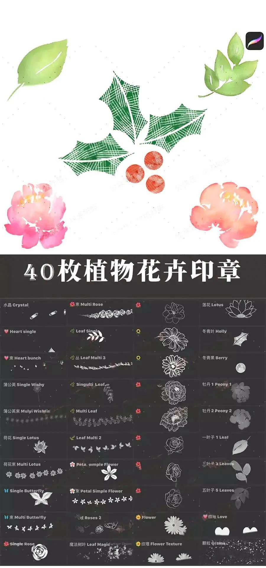 100款花草植物环境笔刷 笔刷资源 第14张