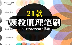 新款版印颗粒肌理PS+Procreate笔刷21款