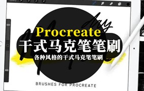 各种风格的Procreate的干式马克笔笔刷