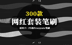 300款网红套装PS和Procreate笔刷合集