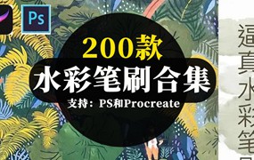 逼真水彩PS和Procreate笔刷及水彩纸张素材合集