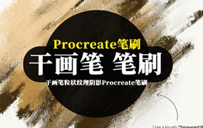 Procreate笔刷-干画笔粒状干燥介质纹理阴影Procreate笔刷素材下载