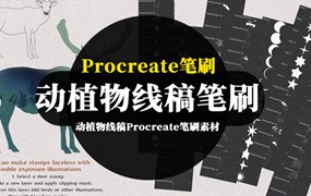 Procreate笔刷-动植物线稿Procreate笔刷素材包