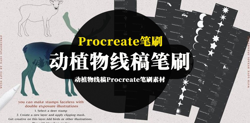 Procreate笔刷-动植物线稿Procreate笔刷素材包 笔刷资源 第1张