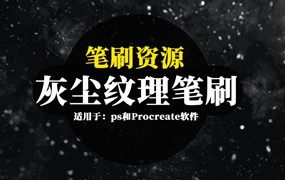 笔刷资源-灰尘纹理效果ps和Procreate图案笔刷素材