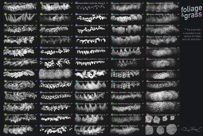 Procreate笔刷-植物枝叶落叶草地图案笔刷素材资源 笔刷资源 第5张