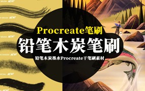 Procreate笔刷-铅笔木炭墨水干燥粗糙纹理Procreate干笔刷素材