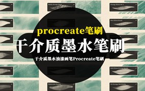 Procreate笔刷-干介质墨水油漆画笔Procreate笔刷套装素材资源