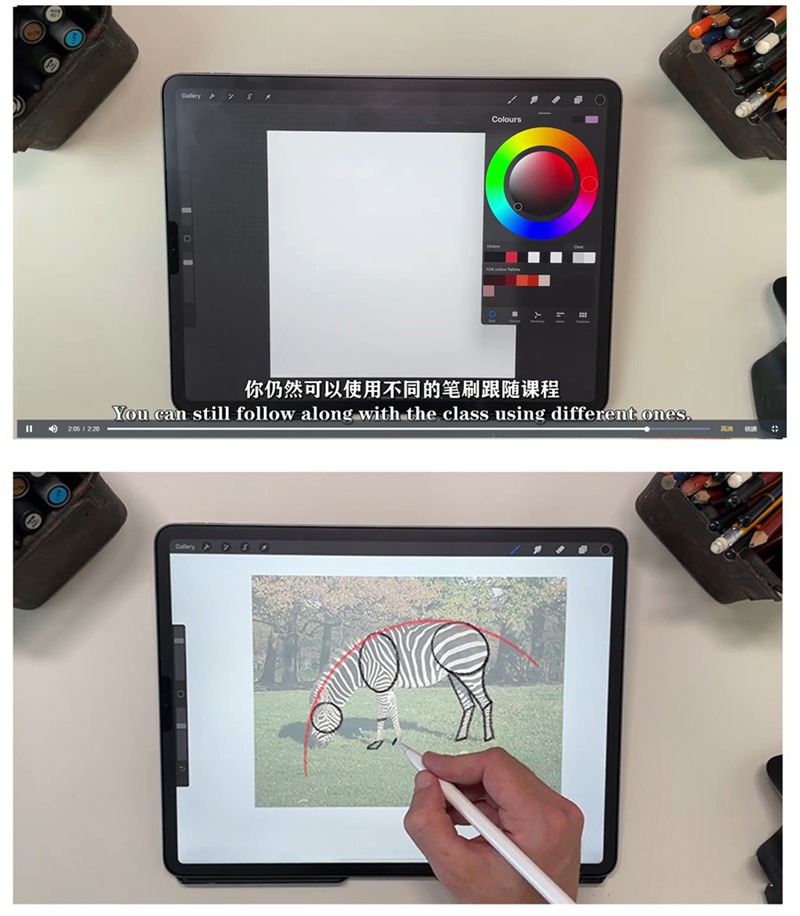 ipad动物姿势绘画教程，跟着大师学插画 设计教程 第7张