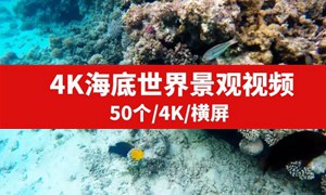 4K海底世界景观视频