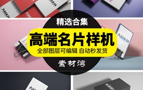 高端公司企业名片卡片设计VI展示效果图PSD样机智能贴图模板素材