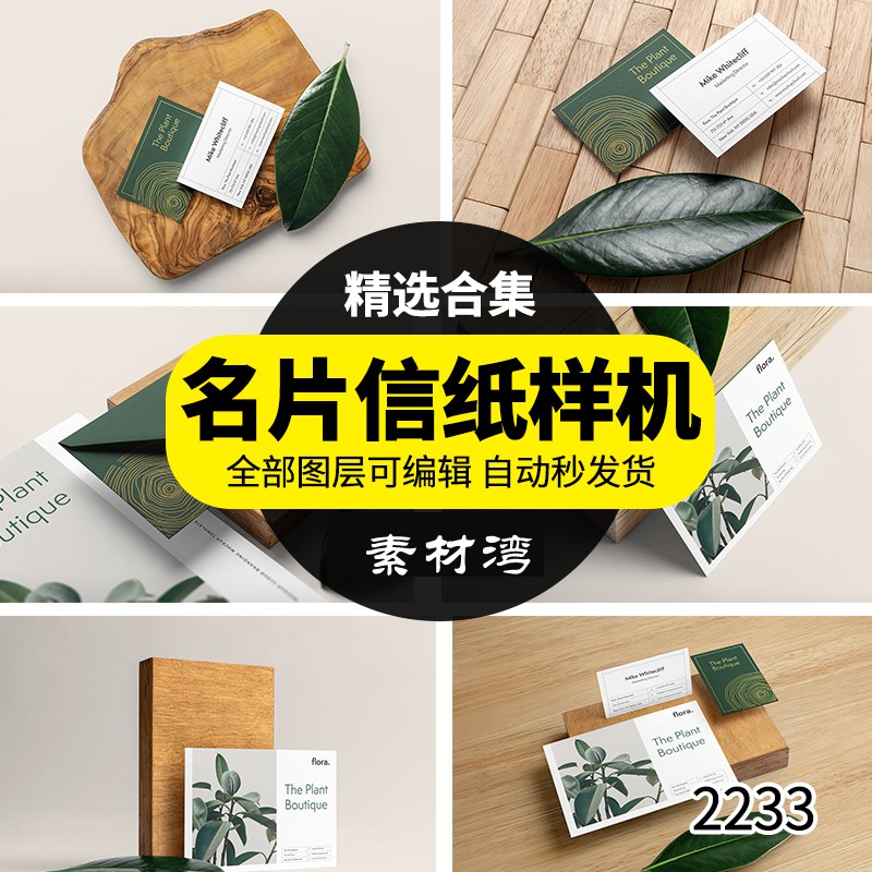 文创办公植物名片信纸品牌VI设计展示场景智能贴图样机PS模板素材 图片素材 第1张