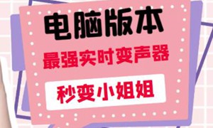 电版版实时变音，全网最牛的无需声卡变声器，游戏中变声撩汉子