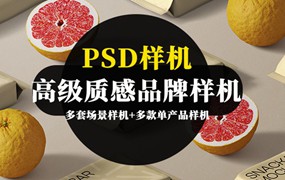 200款高级质感品牌VI样机PSD模板