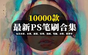 10000款PS笔刷合集，包含水彩、水墨、素描、纹理、油画、笔触、水粉、肌理等