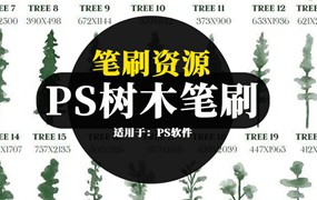 PS笔刷-水彩树木松树笔刷设计素材