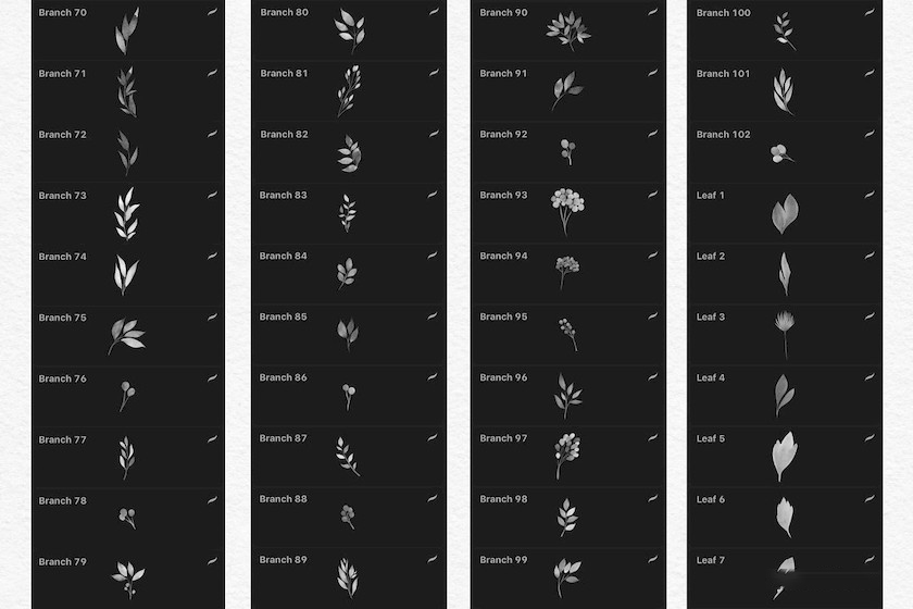 procreate笔刷-花朵叶子印章水彩笔刷素材资源 笔刷资源 第7张