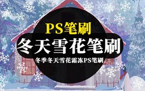 PS笔刷-冬季冬天雪花霜冻PS笔刷AI笔刷合集下载