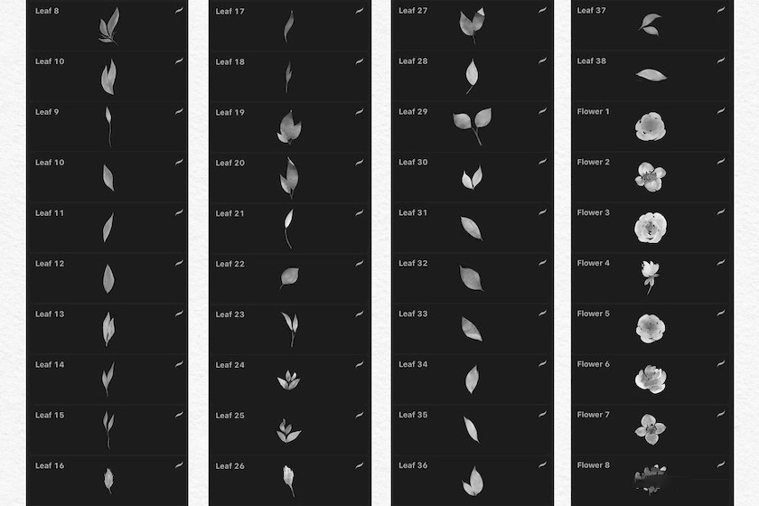 procreate笔刷-花朵叶子印章水彩笔刷素材资源 笔刷资源 第8张