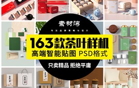 163款高端茶叶品牌包装袋样机盒装产品包装效果vi智能贴图psd 素材模板