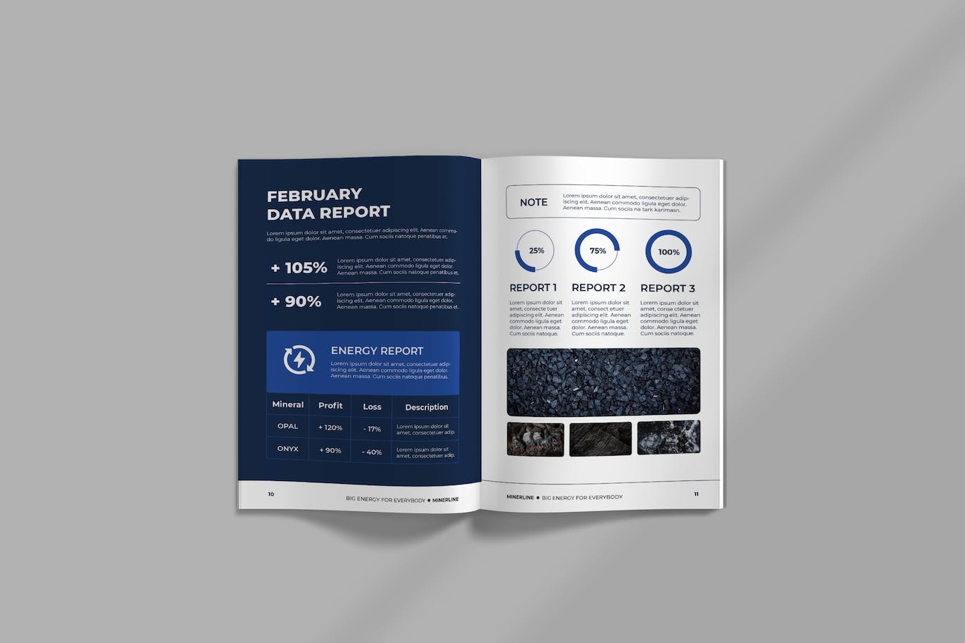 年度报告杂志设计模板 MINE – ANNUAL REPORT 幻灯图表 第2张