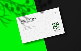 商业公司名片设计样机 Business Card Mockup