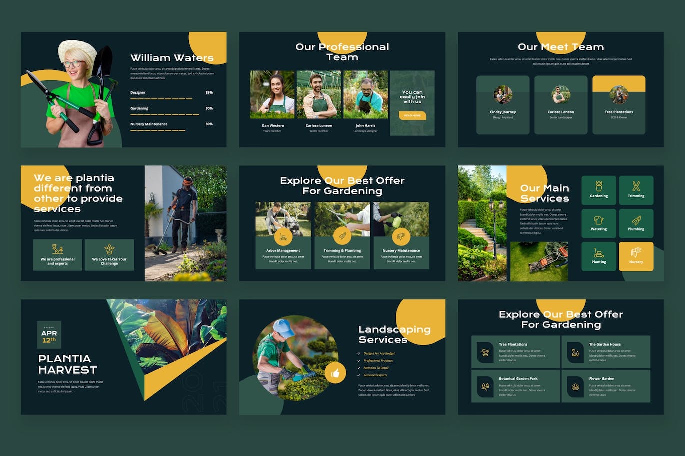 园林绿化和园艺PPT模板下载 Plantia – Landscaping Powerpoint Template 幻灯图表 第3张