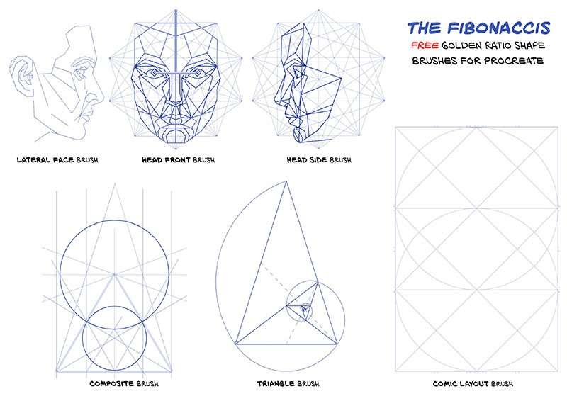 10+人脸黄金比例Procreate笔刷 笔刷资源 第1张