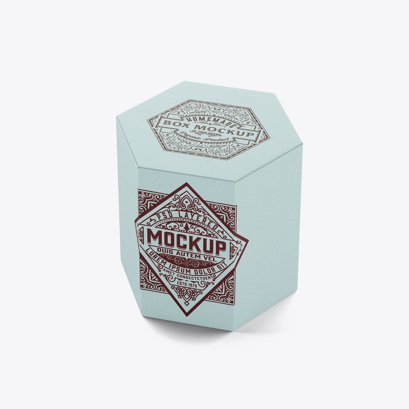 六边形长方体纸盒包装设计样机 Hexagonal Box Mockup 样机素材 第8张