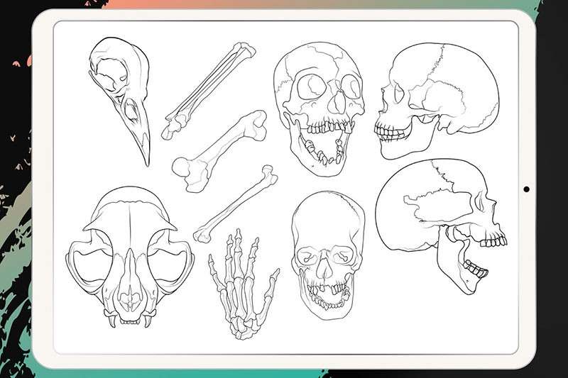 50个刺青纹身图案Procreate笔刷 笔刷资源 第5张