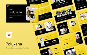 IT顾问解决方案PPT素材 Polyxena – IT Consultant Powerpoint Template