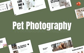 宠物摄影极简主义PPT幻灯片模板下载 Pet Photography Minimalist PowerPoint Template