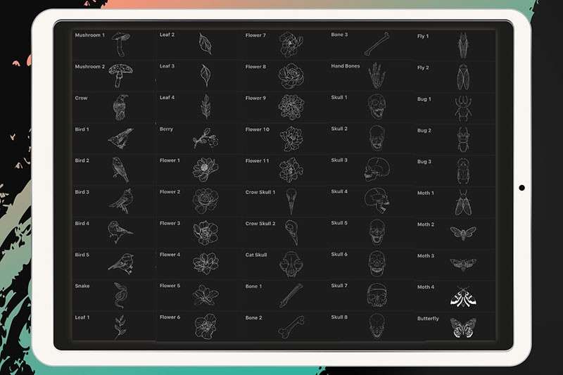 50个刺青纹身图案Procreate笔刷 笔刷资源 第2张