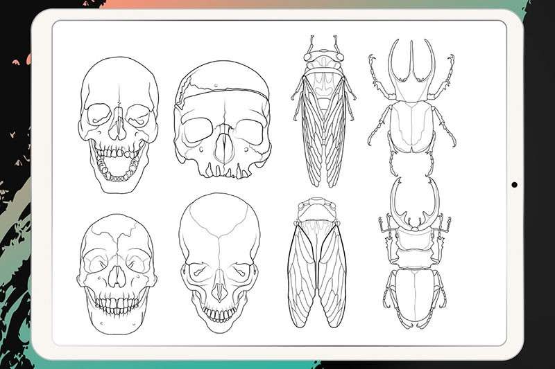 50个刺青纹身图案Procreate笔刷 笔刷资源 第3张