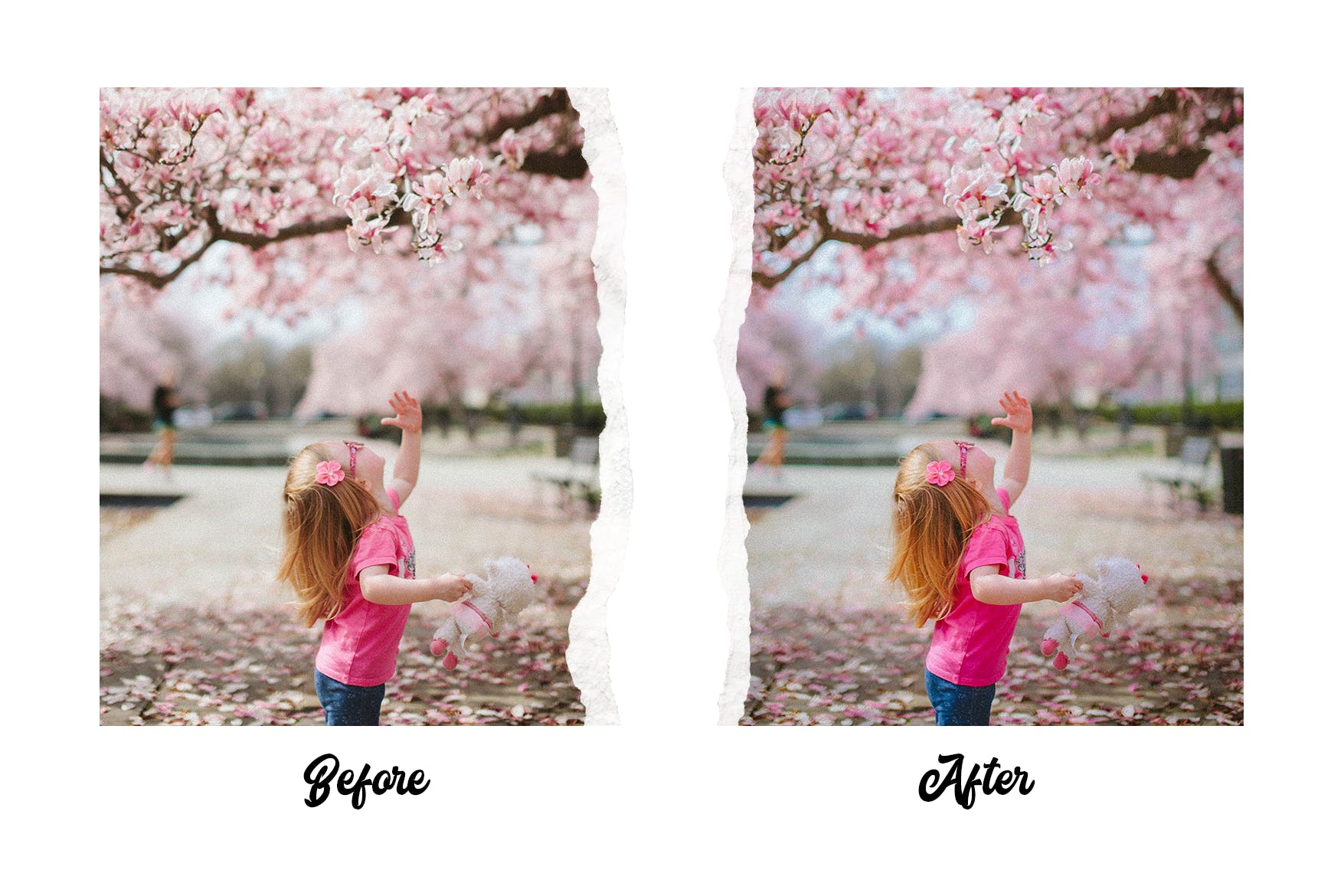 15个高级的春季摄影LR照片调色预设 Spring – 15 Premium Lightroom Presets 插件预设 第9张