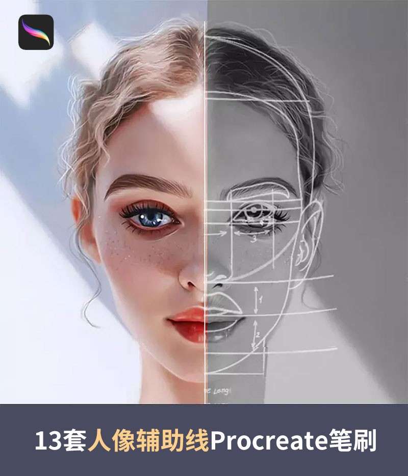 13套人像辅助线Procreate笔刷 笔刷资源 第1张