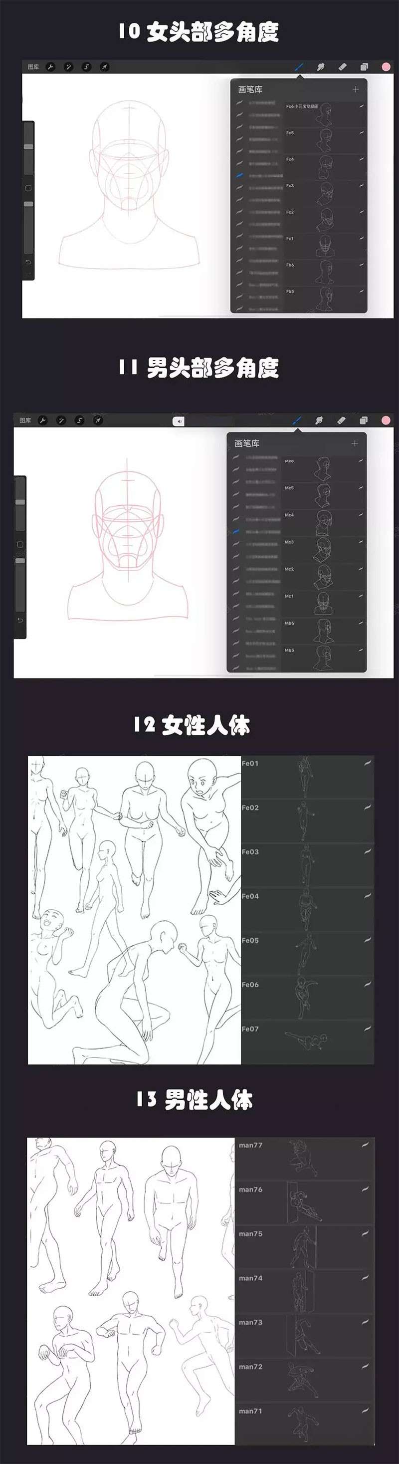 13套人像辅助线Procreate笔刷 笔刷资源 第7张