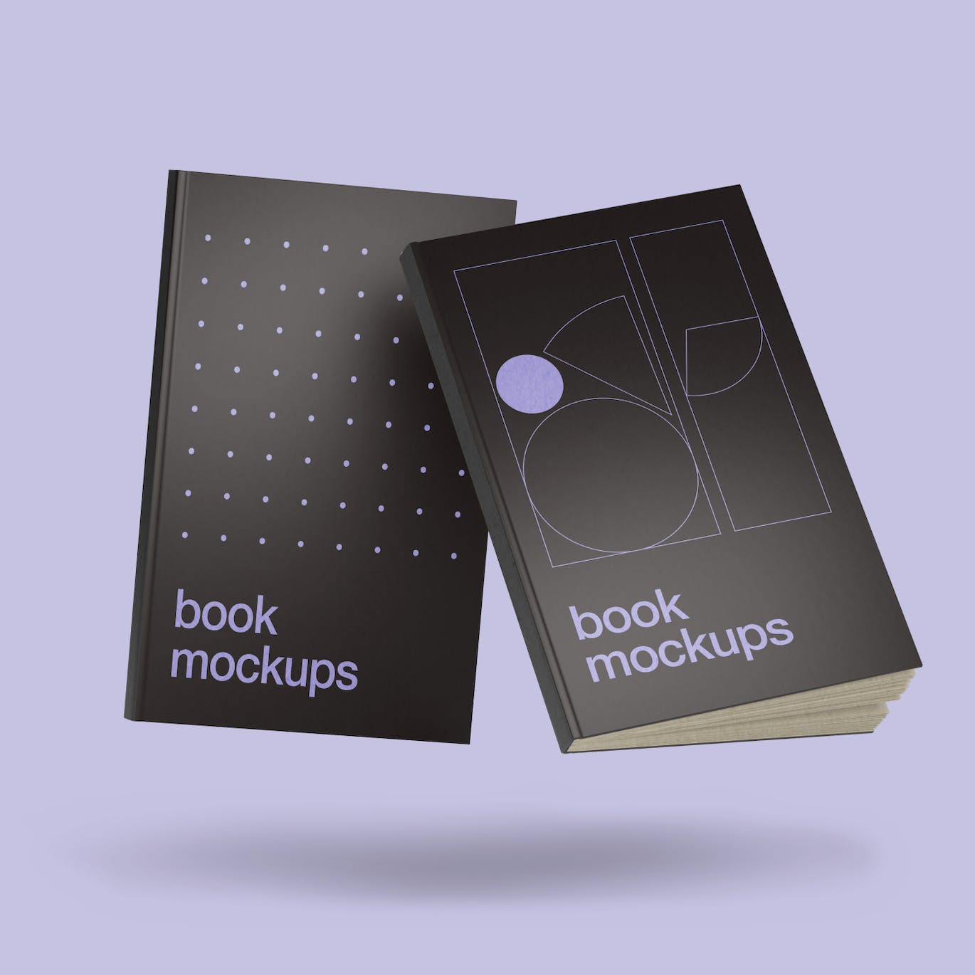 书籍效果图展示样机 Book Mockups 样机素材 第6张