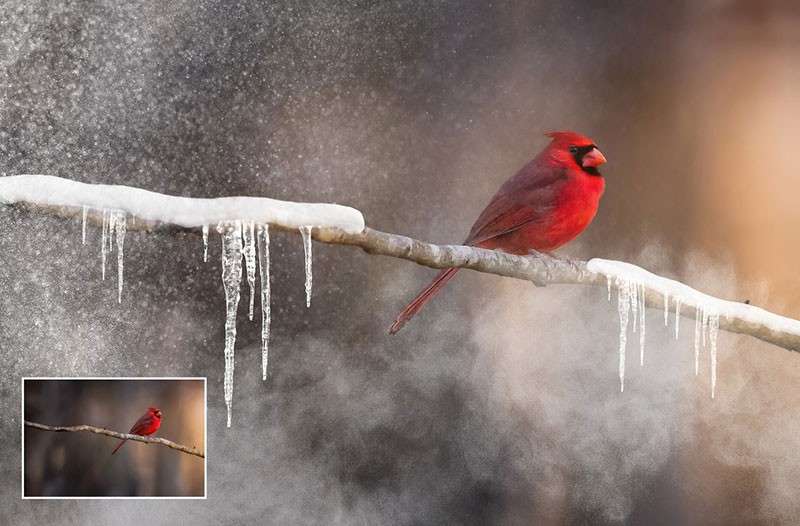 25个用于Photoshop的雪景效果笔刷 笔刷资源 第3张