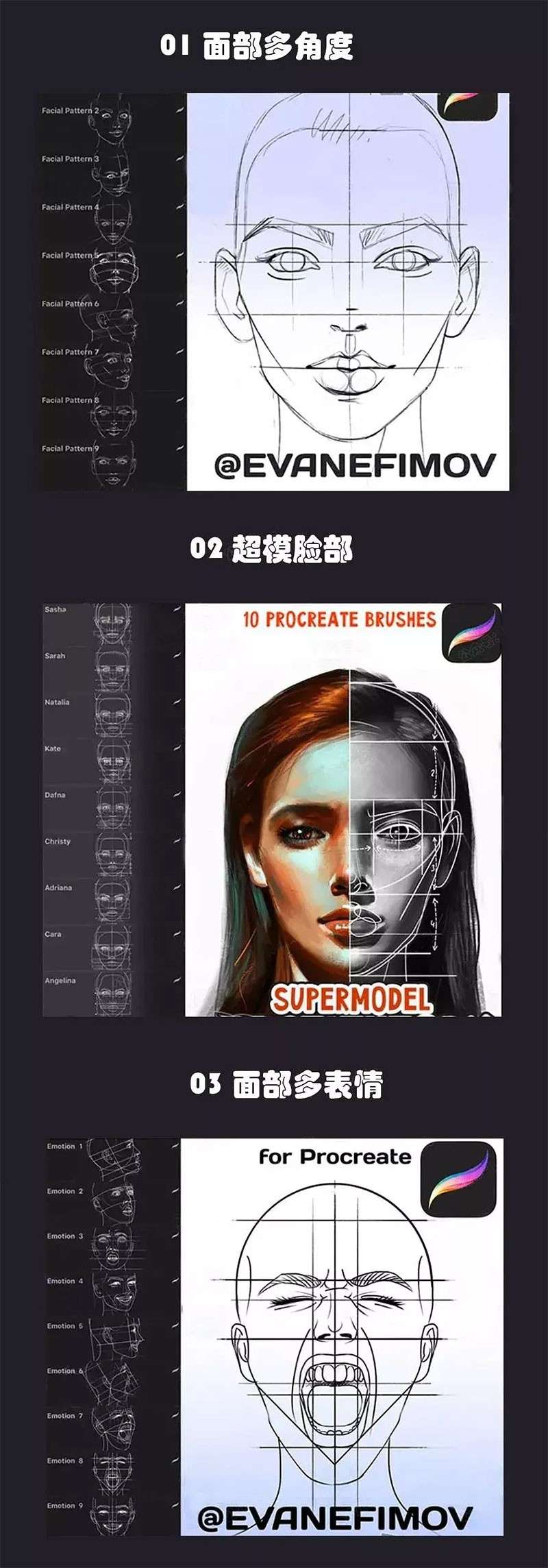 13套人像辅助线Procreate笔刷 笔刷资源 第2张