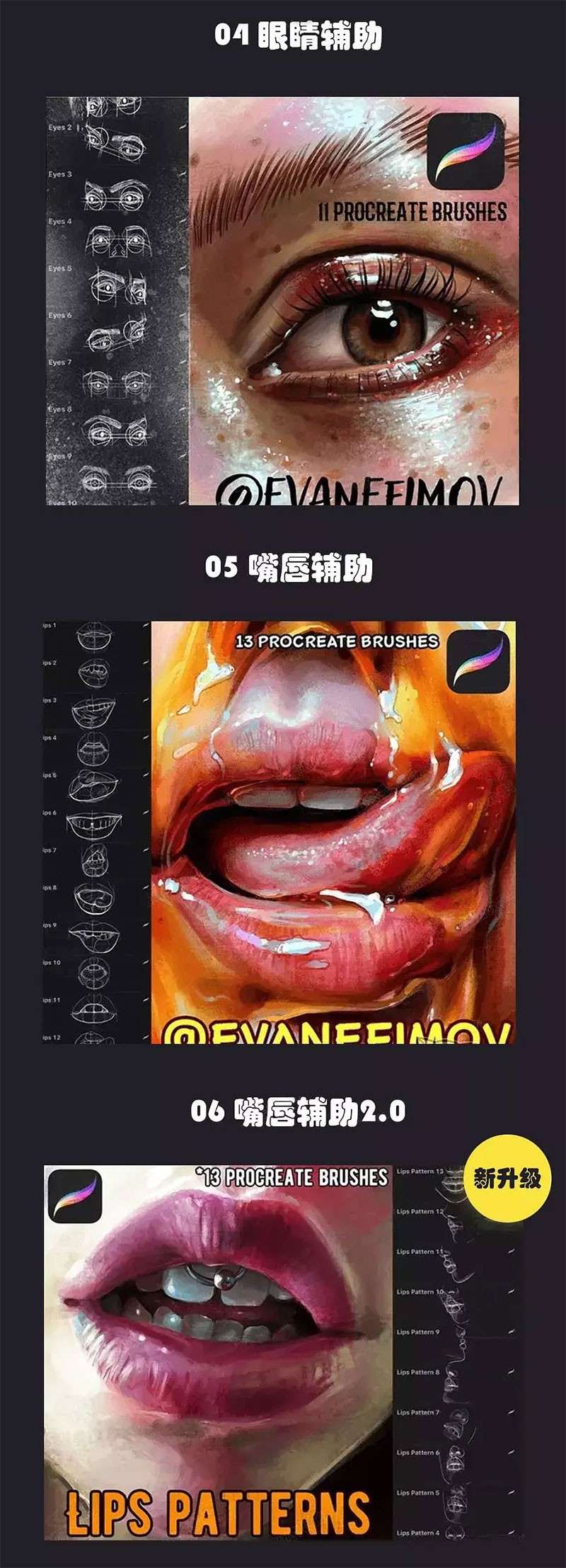 13套人像辅助线Procreate笔刷 笔刷资源 第3张