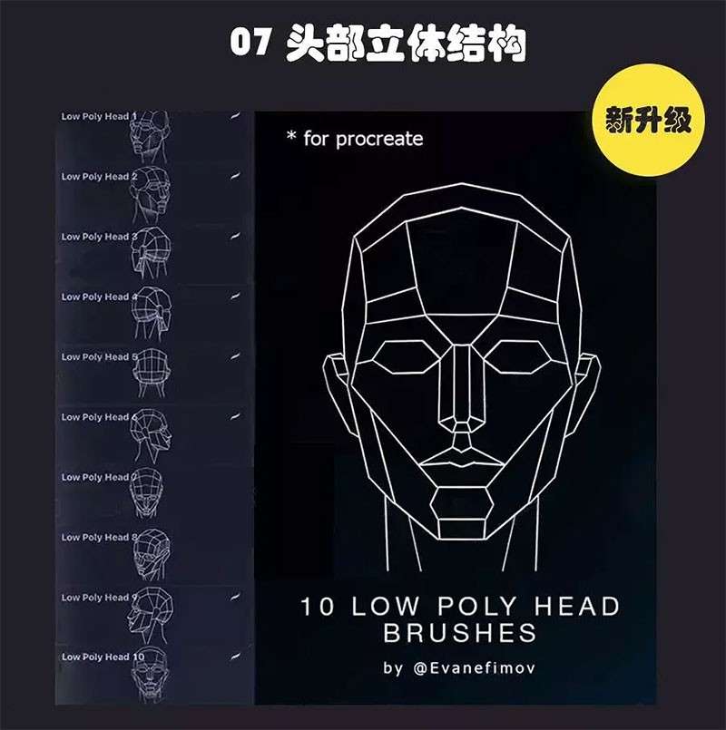 13套人像辅助线Procreate笔刷 笔刷资源 第4张