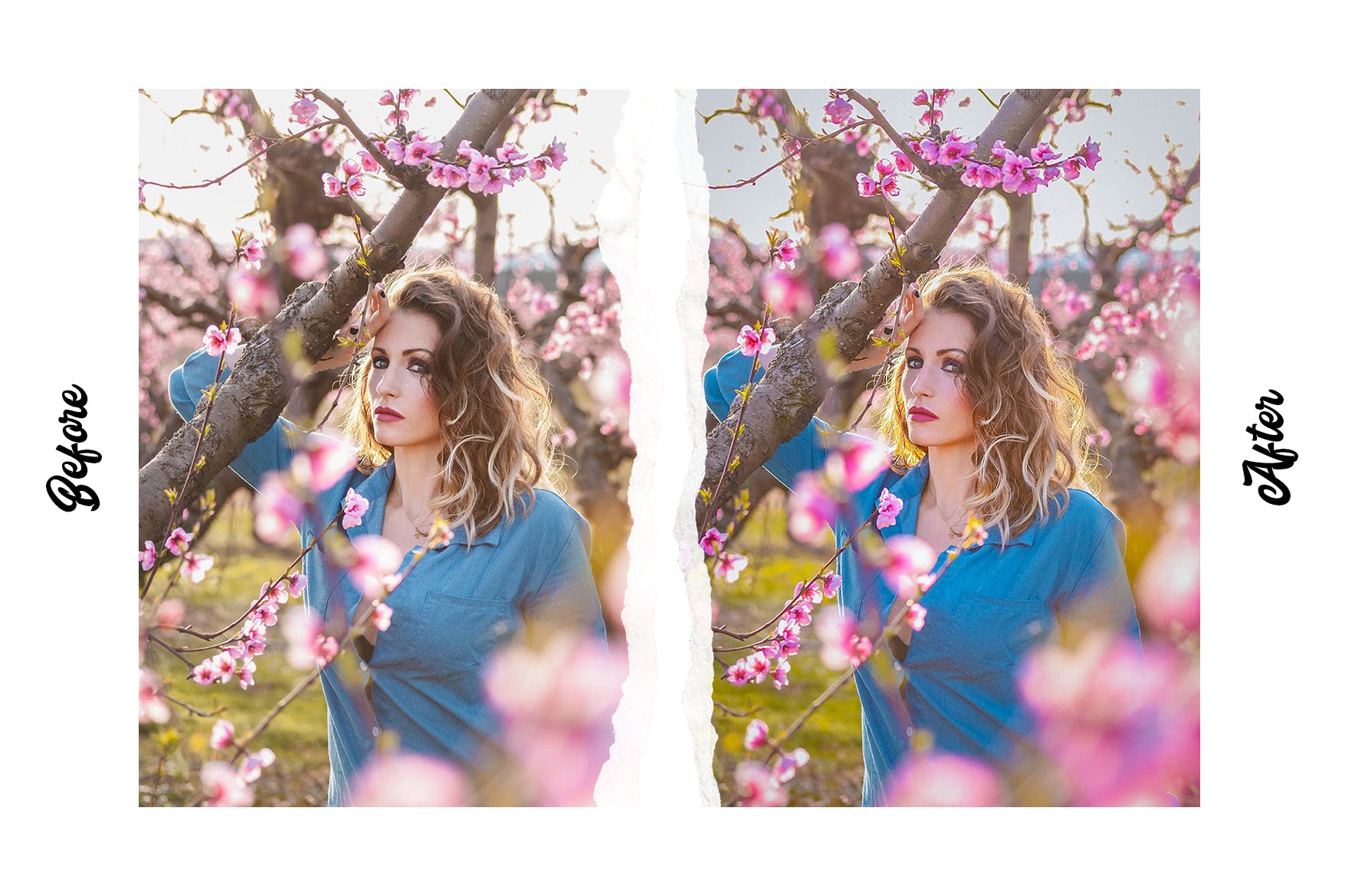 15个高级的春季摄影LR照片调色预设 Spring – 15 Premium Lightroom Presets 插件预设 第3张